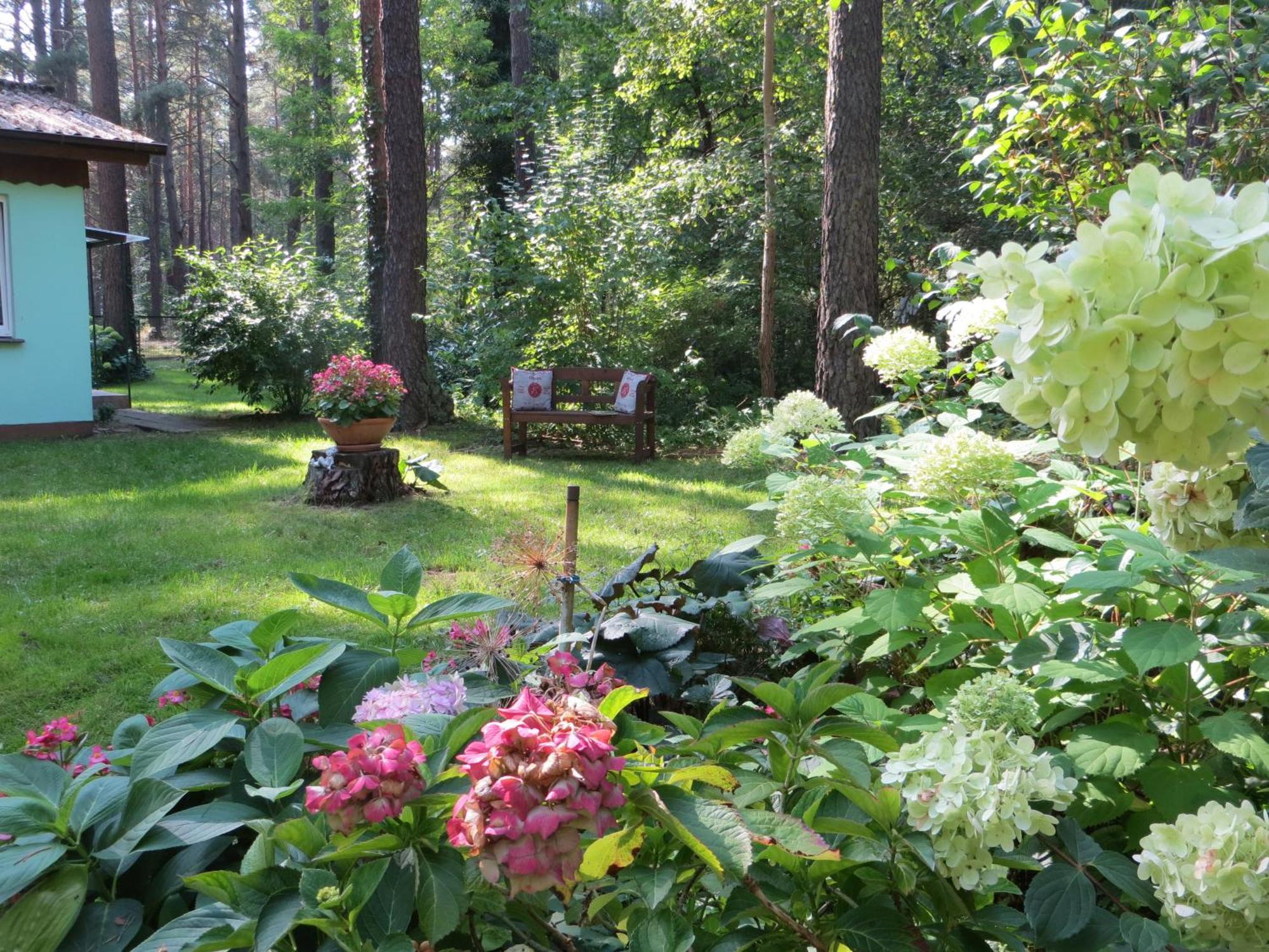 Kastavengrund - Ferienhaeuser Mit Kamin