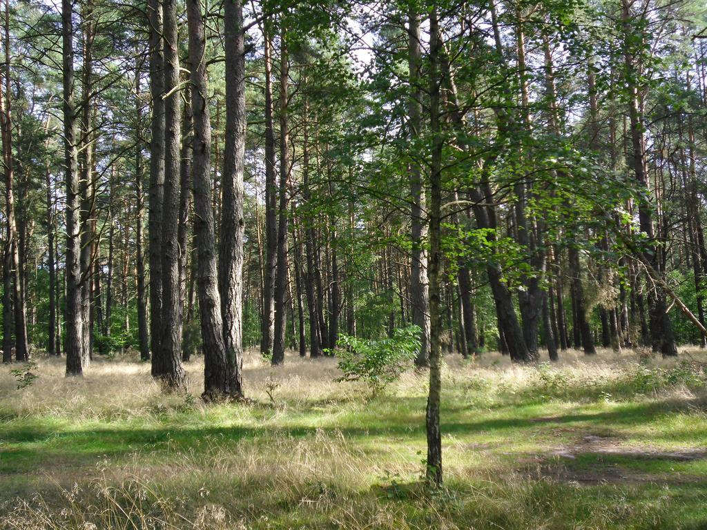 Kastavengrund - Ferienhaeuser Mit Kamin *